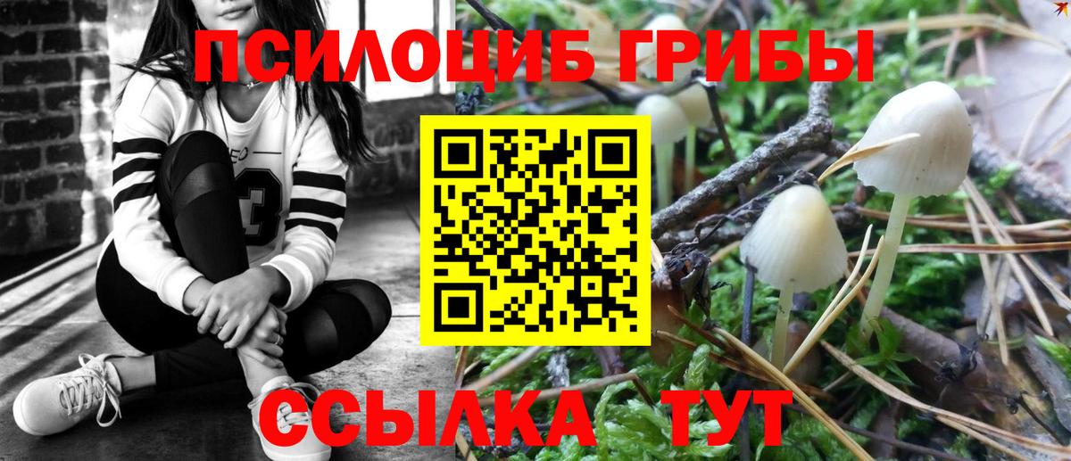 наркота  Псилоцибиновые грибы ЛСД  Вход с VPN  Кстово 